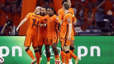 احتفال لاعبو هولندا أمام تركيا